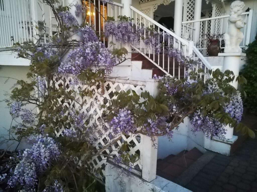 Vancouver Island Castle Cove Inn Chemainus Extérieur photo